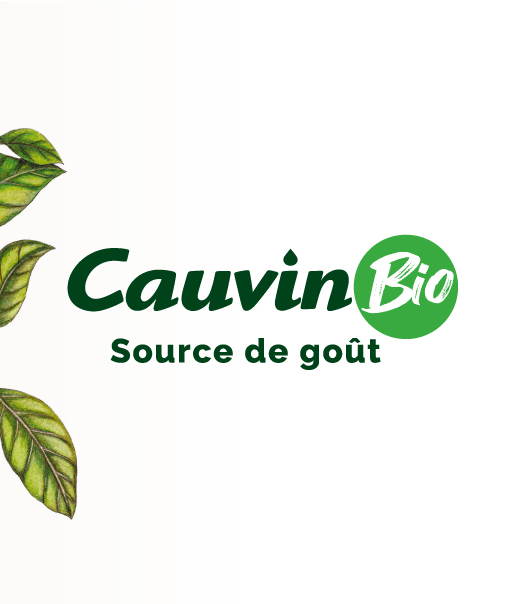 Suncha Cauvin logo bio