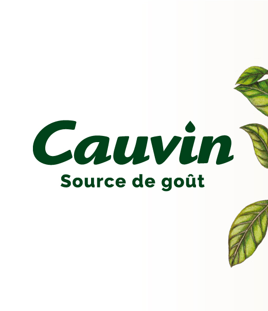 Suncha Cauvin logo